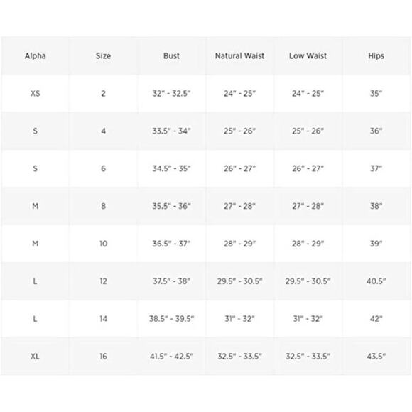 2/$30 NWT Danielle Bernstein Lace Illusion Thong Bodysuit 00 Warm Brown Mesh - Picture 13 of 14